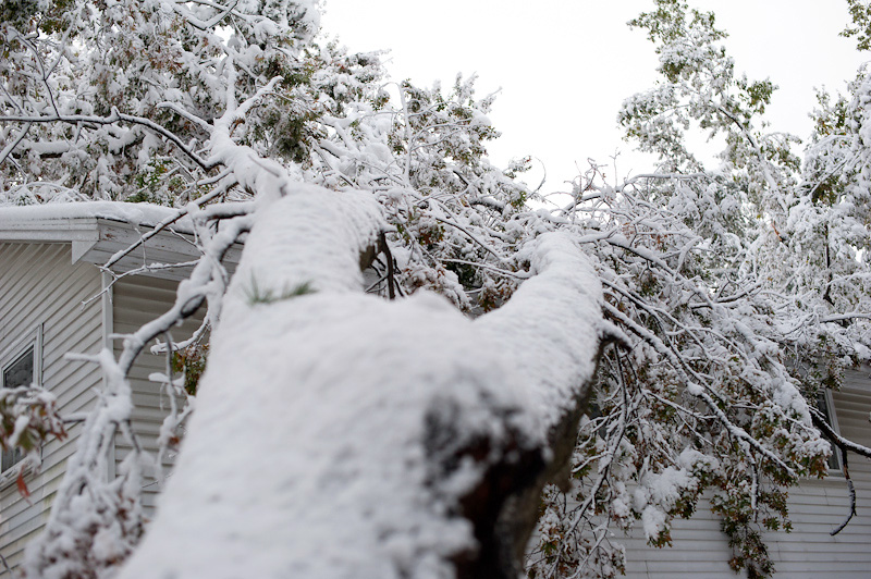 snowtober-1